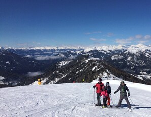 Skiing - Hotel-Gasthof Lammersdorf (Millstatt)
