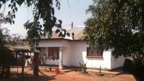Une maison de plain-pied avec un toit de chaume, une façade blanche et un petit jardin agrémenté de cactus.