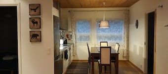 Pajarinniemi Cottage