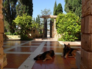 Courtyard