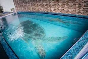 Inomhuspool, öppet 08.00 till 20.00, parasoller och solstolar