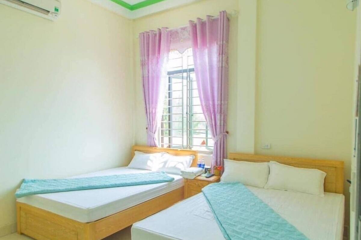 A room with two beds, a window with curtains, and a ceiling with green trim.