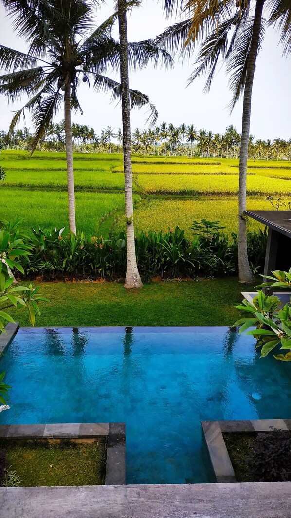 Villa, 2 Bedrooms, Private Pool | Resort view - Anggira Villa Ubud (Ubud)