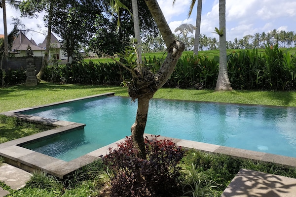 Kolam renang