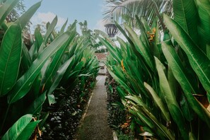 Garden - Anggira Villa Ubud (Ubud)