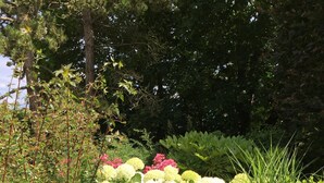 A garden with various plants and flowers, including hydrangeas and other greenery. - Maison d’hôtes Joussaume Latour (Chateau-Thierry)