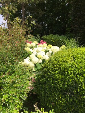 Details aan de buitenkant