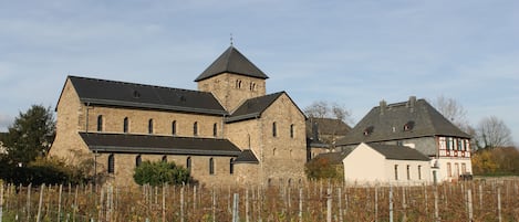 Vue sur la campagne depuis l’hébergement