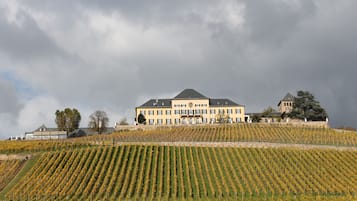 Land view from property