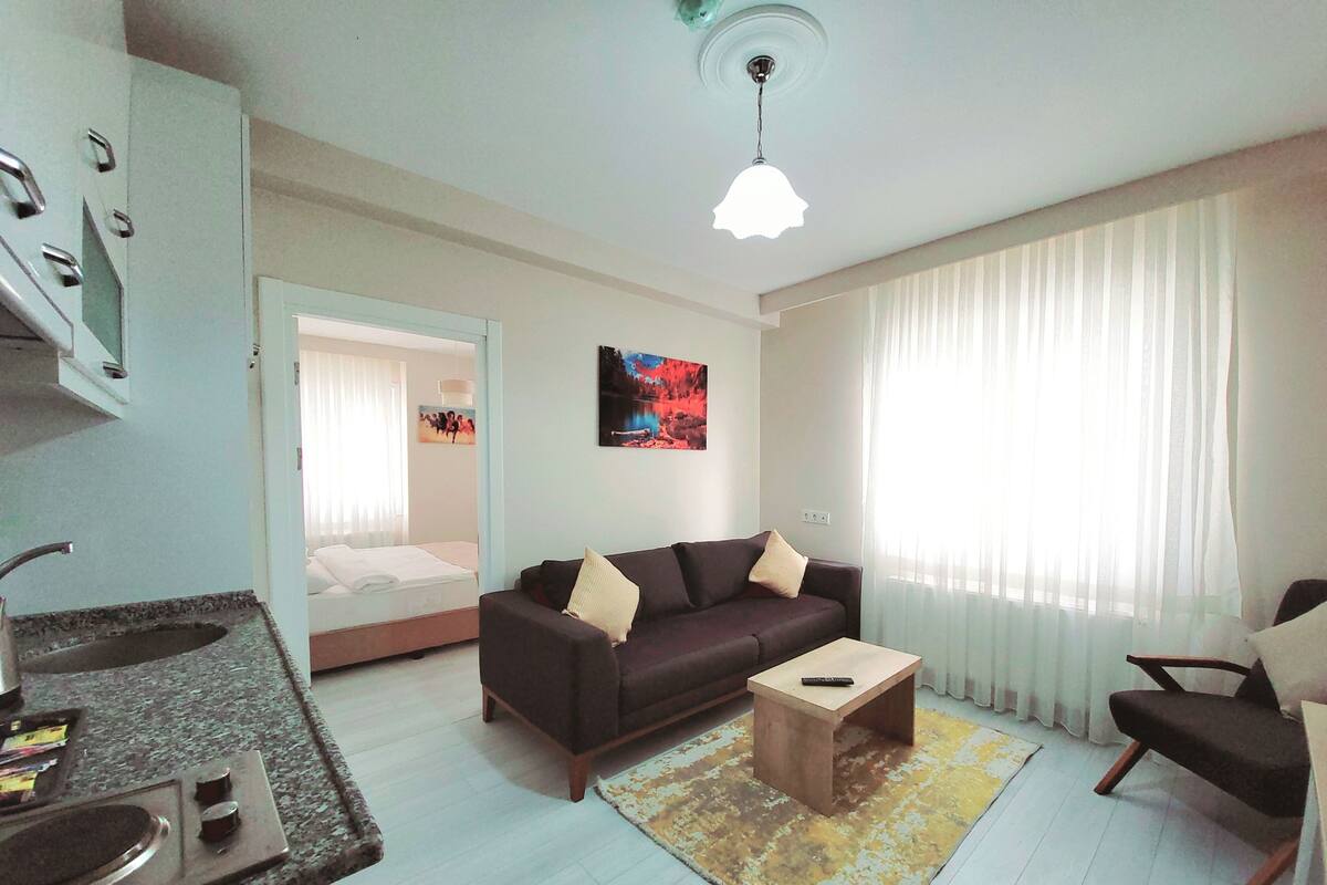 A modern living room with a sofa, coffee table, and a small kitchen area with a sink and stove.