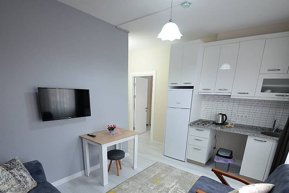 A compact living space with a sofa, a small table, a TV, a kitchenette, and a dining area.