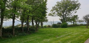 Taman