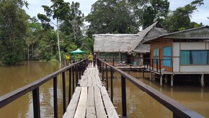 A wooden pier leading to a thatched-roof building with a view of a river and surrounding forest. - My Amazon Lodge (Iquitos)