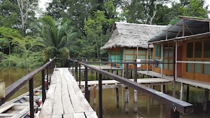 A wooden pier leading to a thatched-roof building with large windows, surrounded by dense forest and water. - My Amazon Lodge (Iquitos)