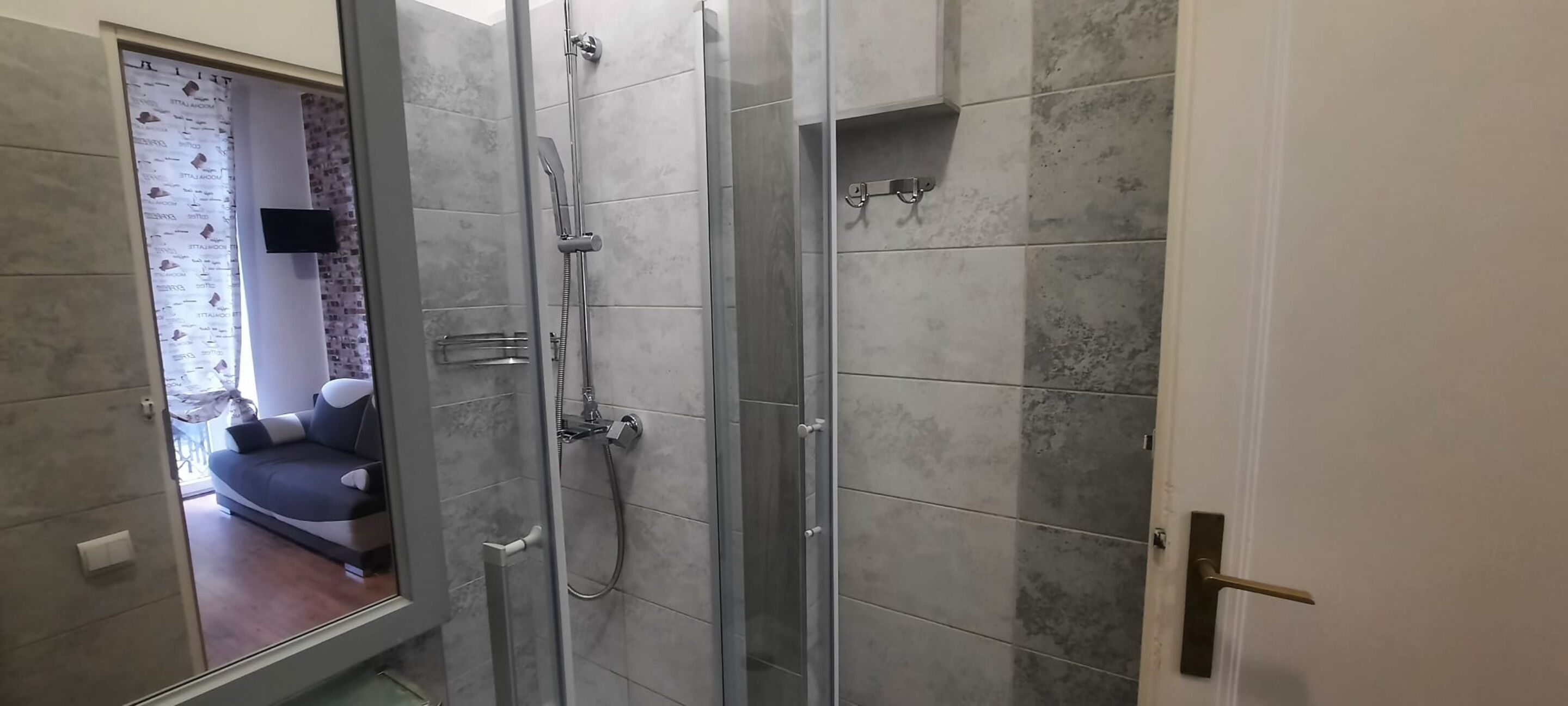 Une salle de bain moderne avec une douche à l’italienne en verre, des murs carrelés et un canapé visible dans l’espace de vie adjacent.
