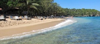 Tropical Luxury Dreams