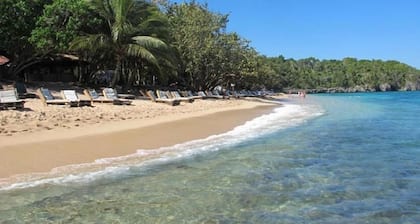 Tropical Luxury Dreams