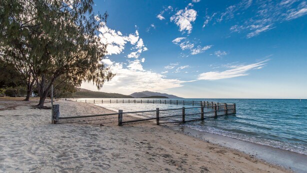 A beach with a wooden fence, sandy shore, and a tree.