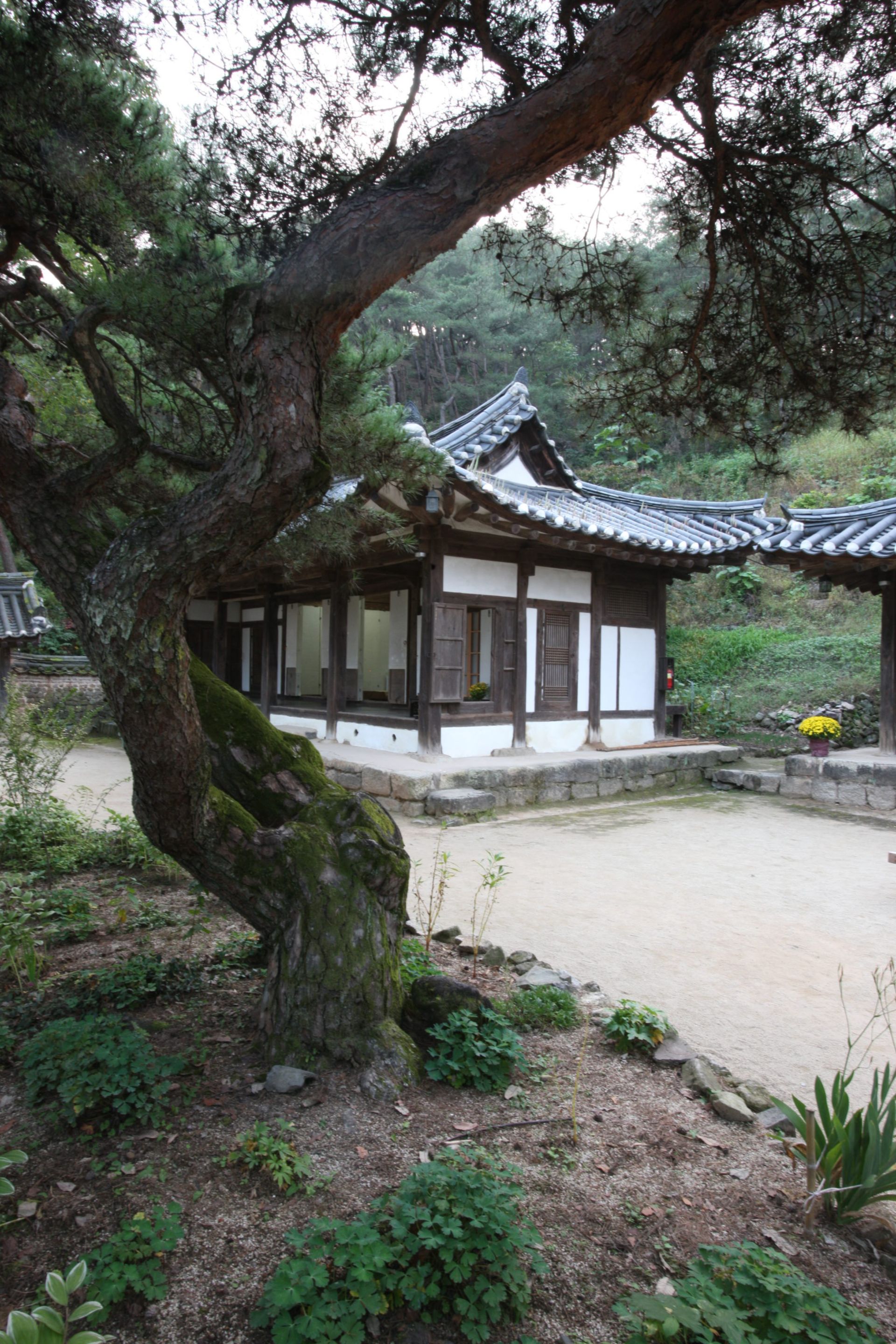A traditional building with a tiled roof and wooden structure, surrounded by greenery and a stone pathway.