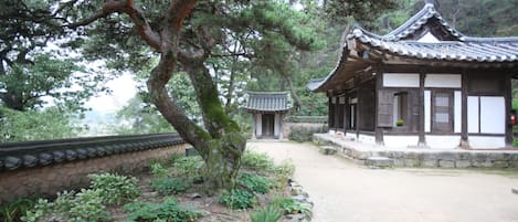 A traditional Japanese building with a tiled roof and wooden walls, surrounded by a garden with various plants and a stone wall.