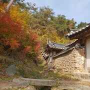옥연정사