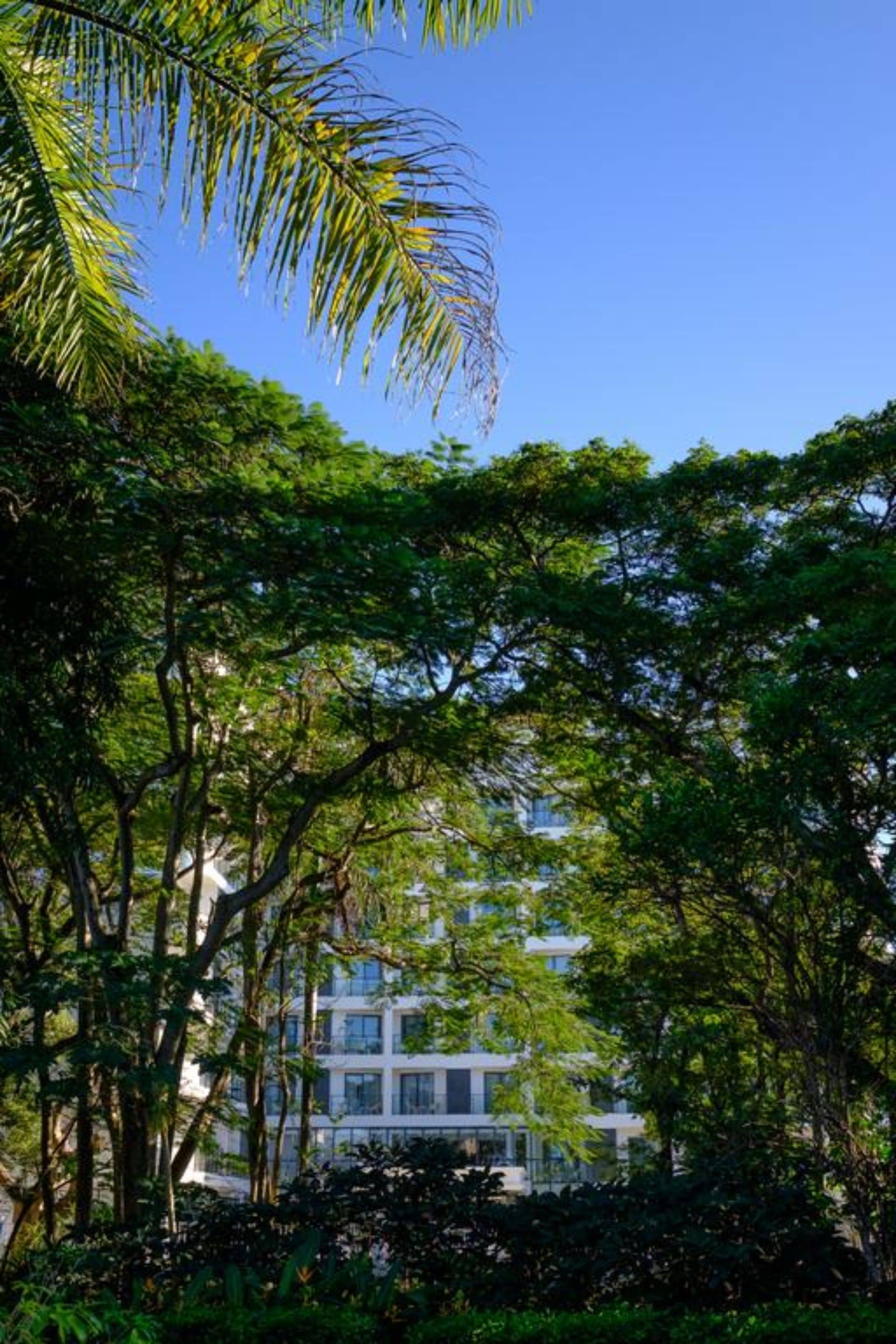 Un edificio rodeado de abundante follaje verde.