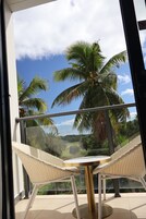 标准房, 1 张特大床 | 露台