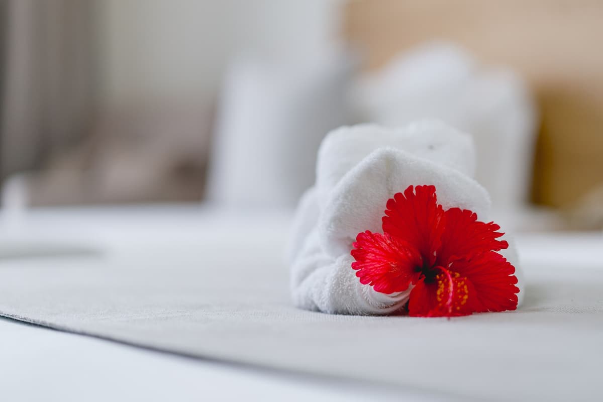 1 Schlafzimmer, hochwertige Bettwaren, Daunenbettdecken