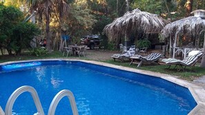 Une piscine entourée de verdure, avec des chaises longues et des parasols.