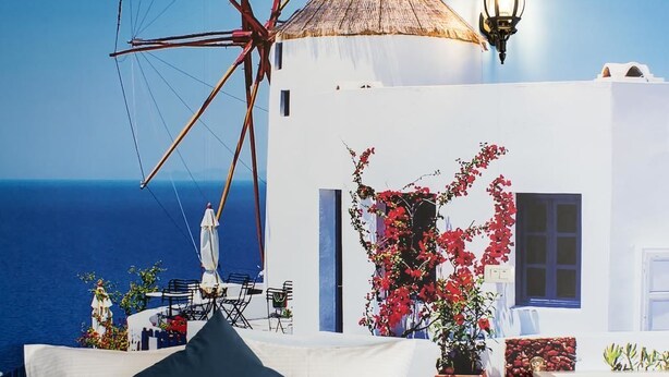Una habitación blanca con una cama, una planta en maceta y vista al mar.