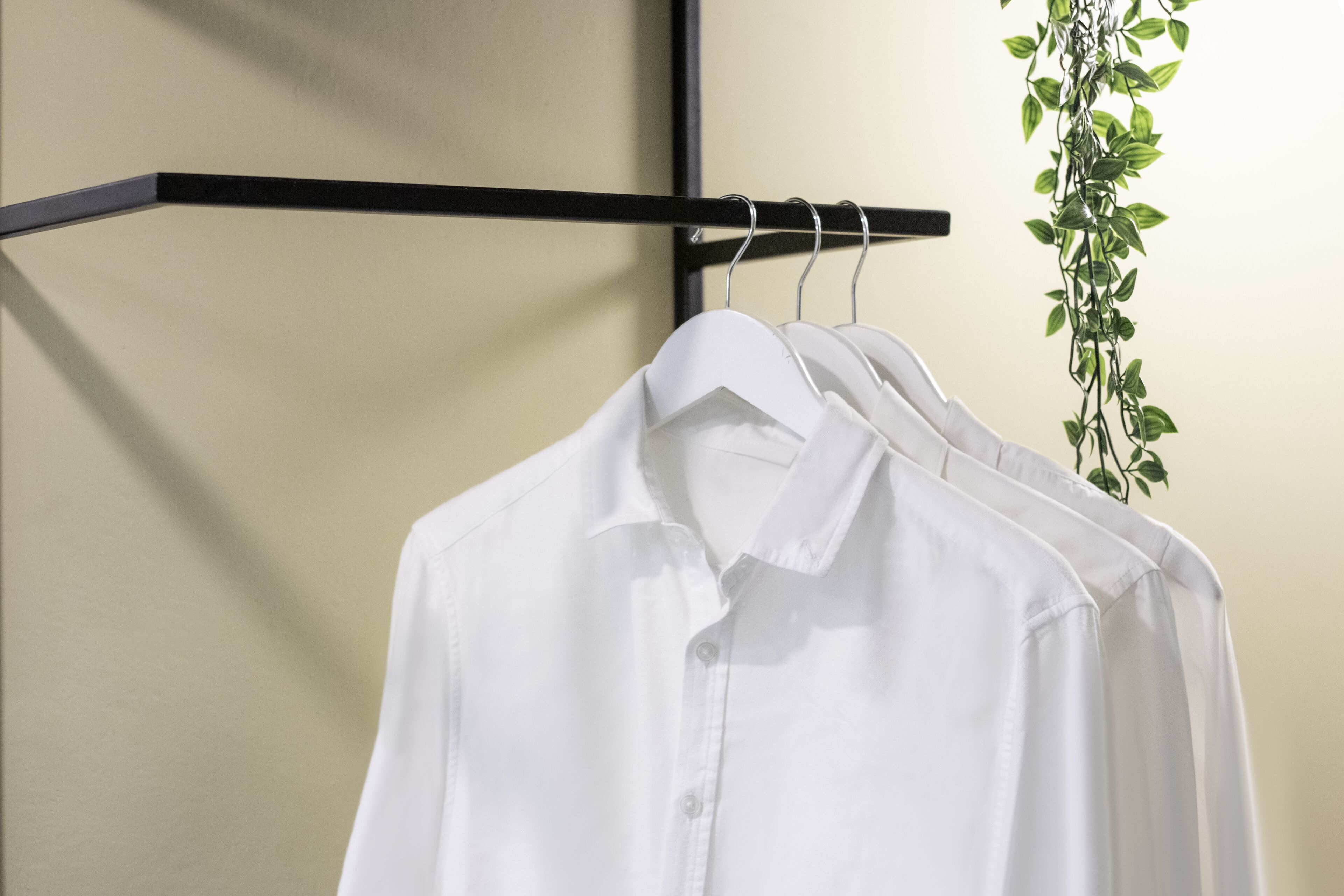 Foto - Harbour Ville Hotel - Hamilton