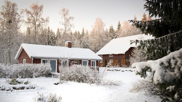 A snow-covered landscape with two wooden cabins, surrounded by trees and bushes, indicating a rustic, natural setting.