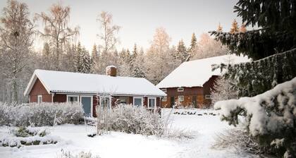 Ekologiska Fru Gran i Tiveden