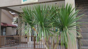 Un edificio con un letrero que dice 'gmhomestay' y una palmera en maceta al frente.