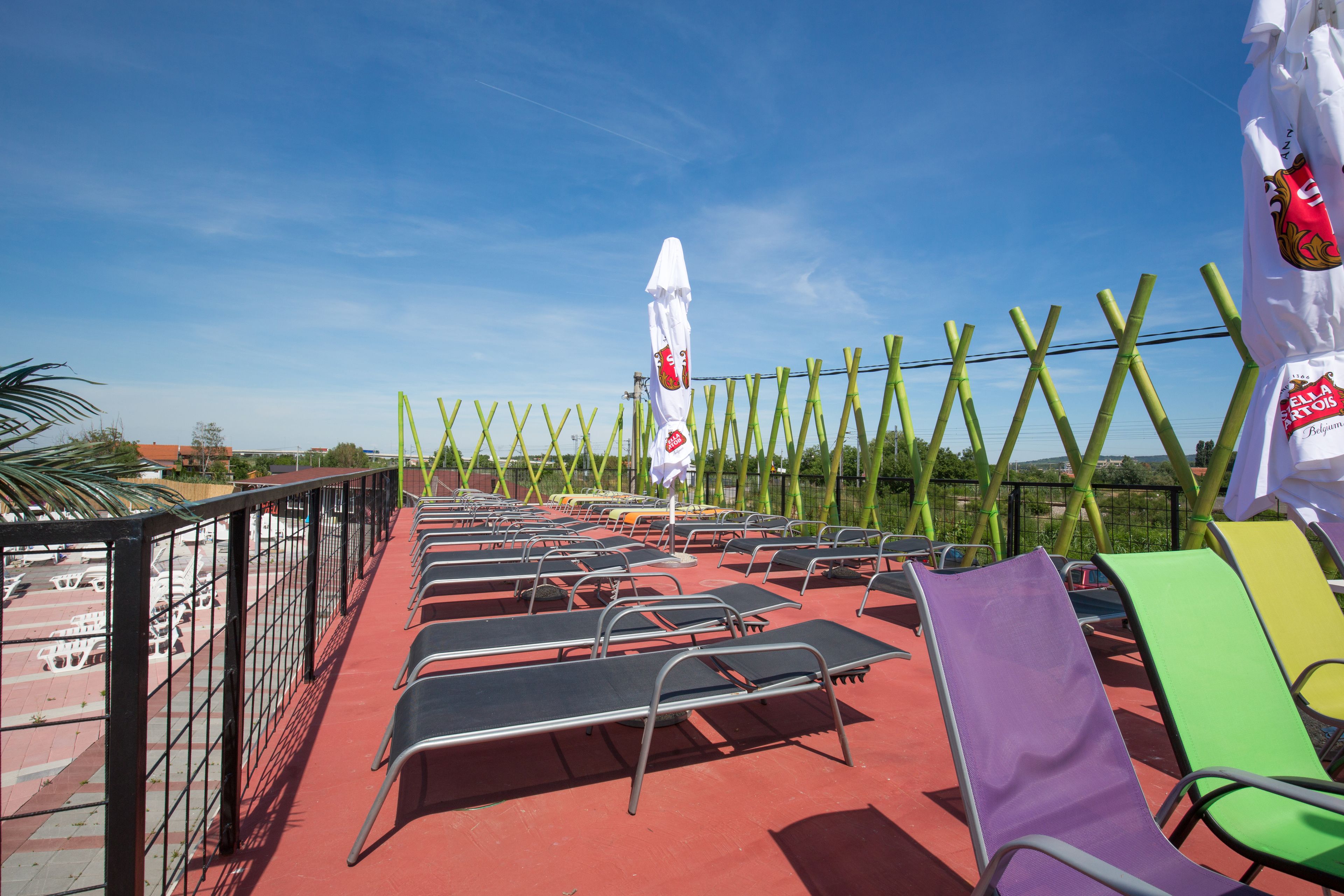 Foto - Flamingo Resort