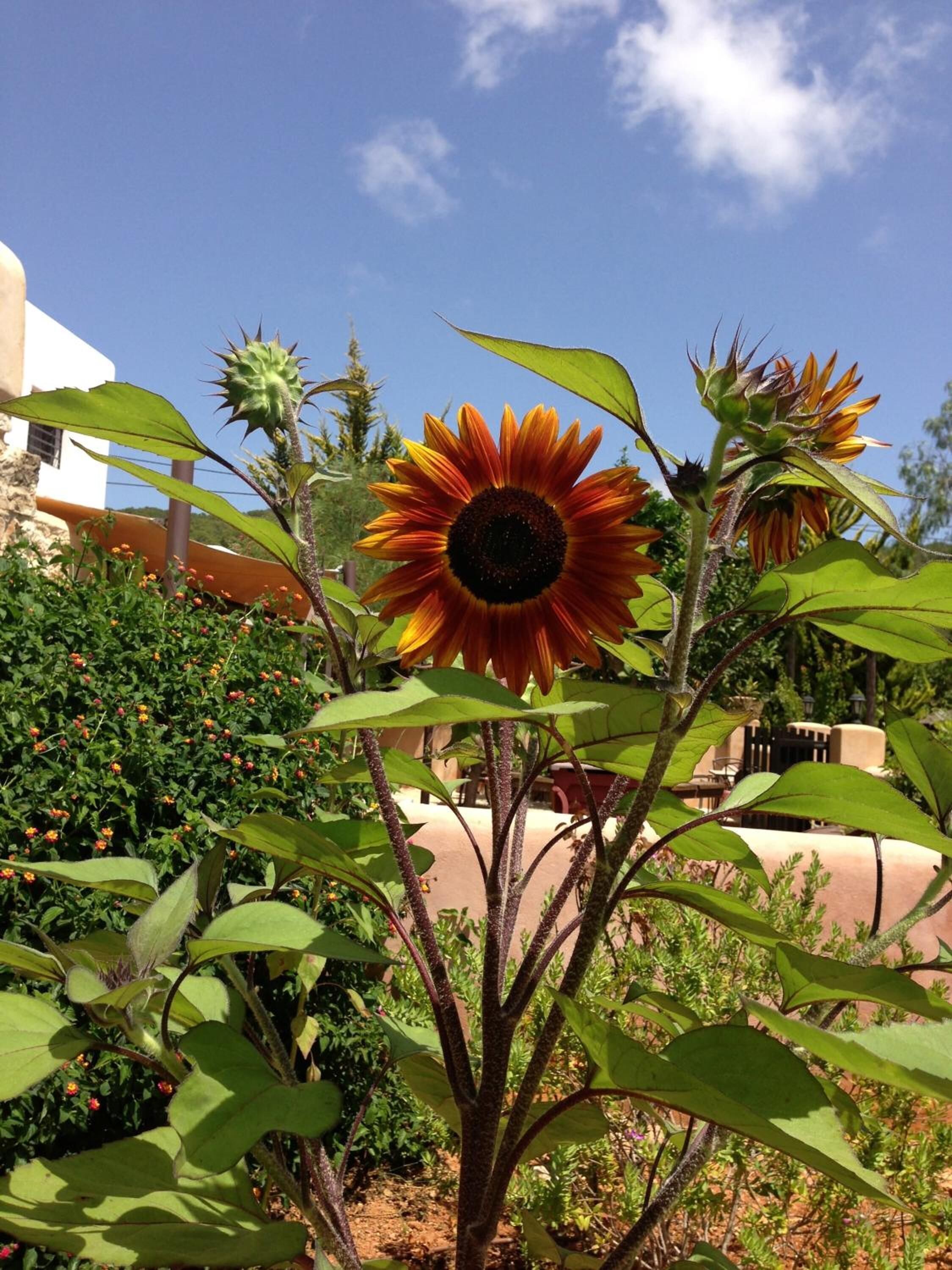 Foto - Agroturismo Xarc