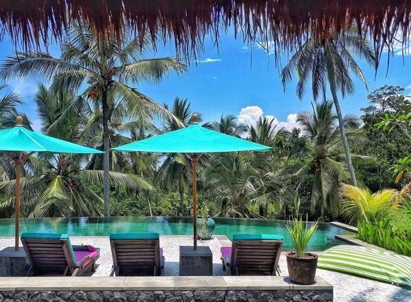 Outdoor pool - Villa Palem (Selemadeg)