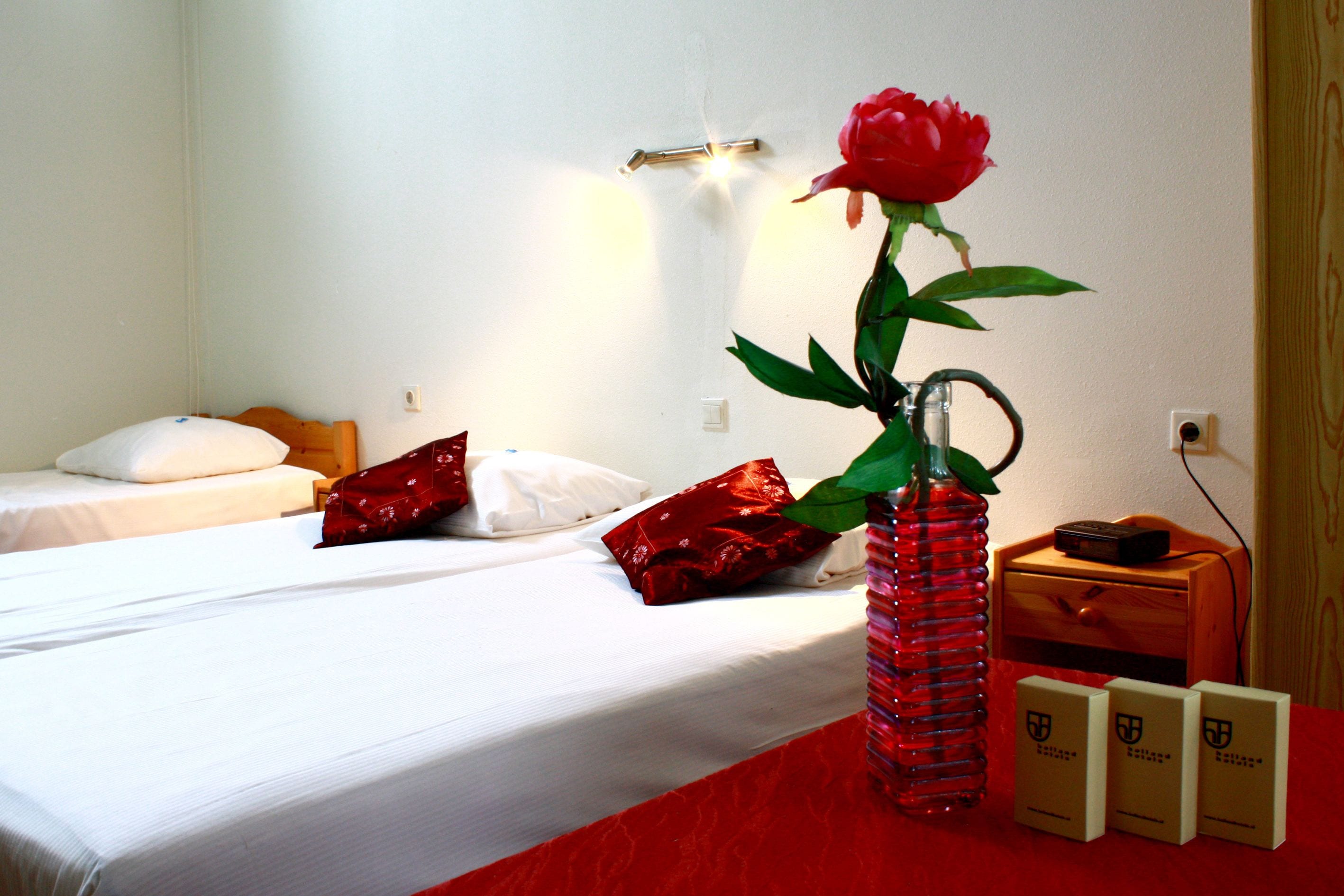 雙人房, 2 張單人床 | 書桌、熨斗/熨衣板、免費無線上網、床單