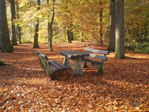 Property grounds - Hotel Restaurant 'T Holt (Diepenheim)