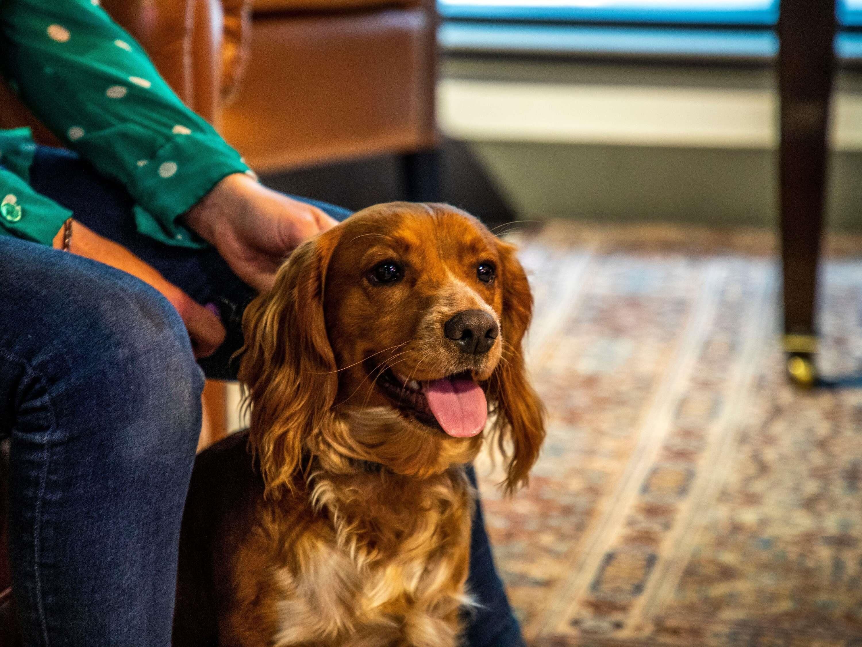 Photo - ibis Styles Glasgow Central