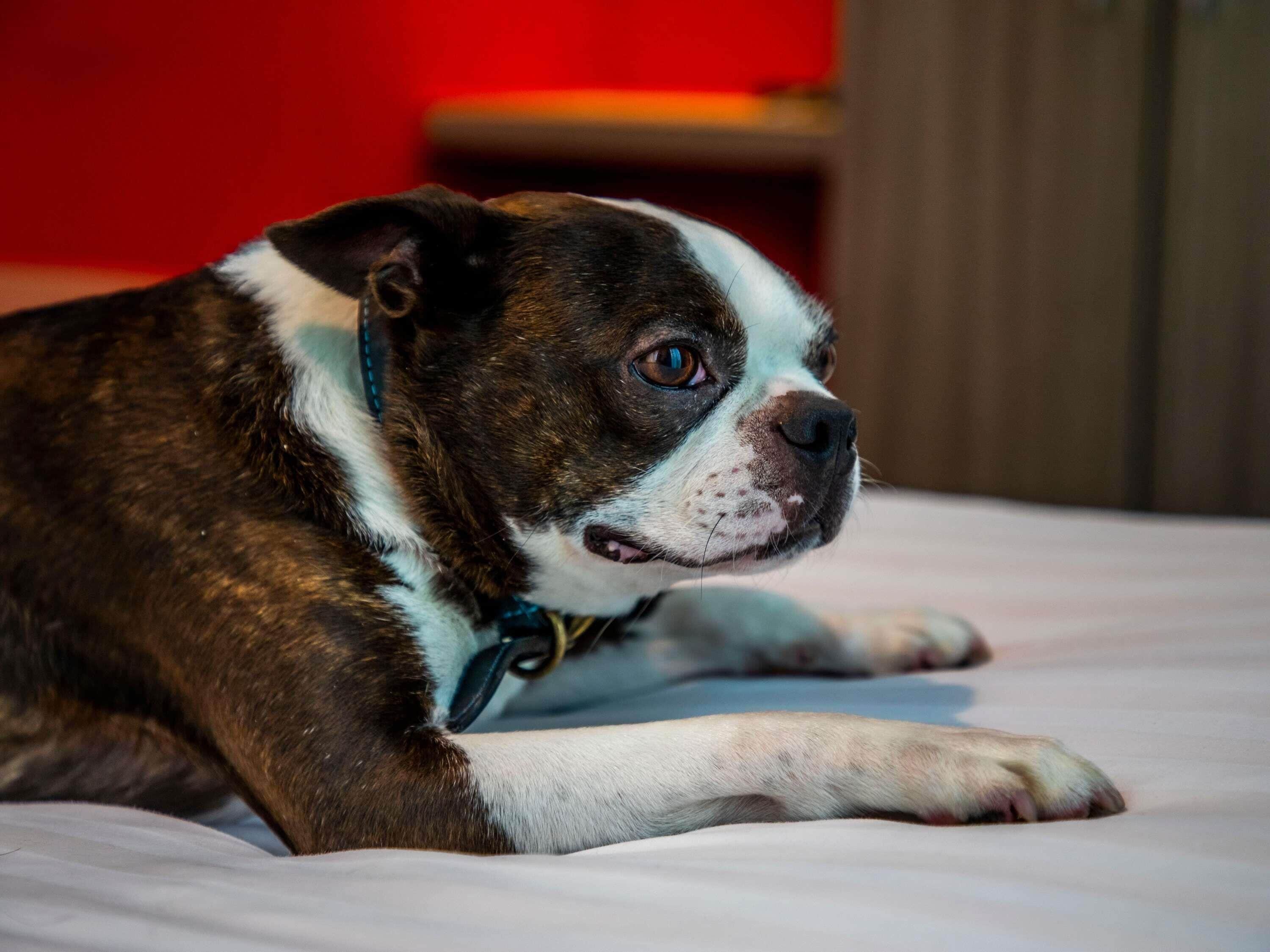 Photo - ibis Styles Glasgow Central