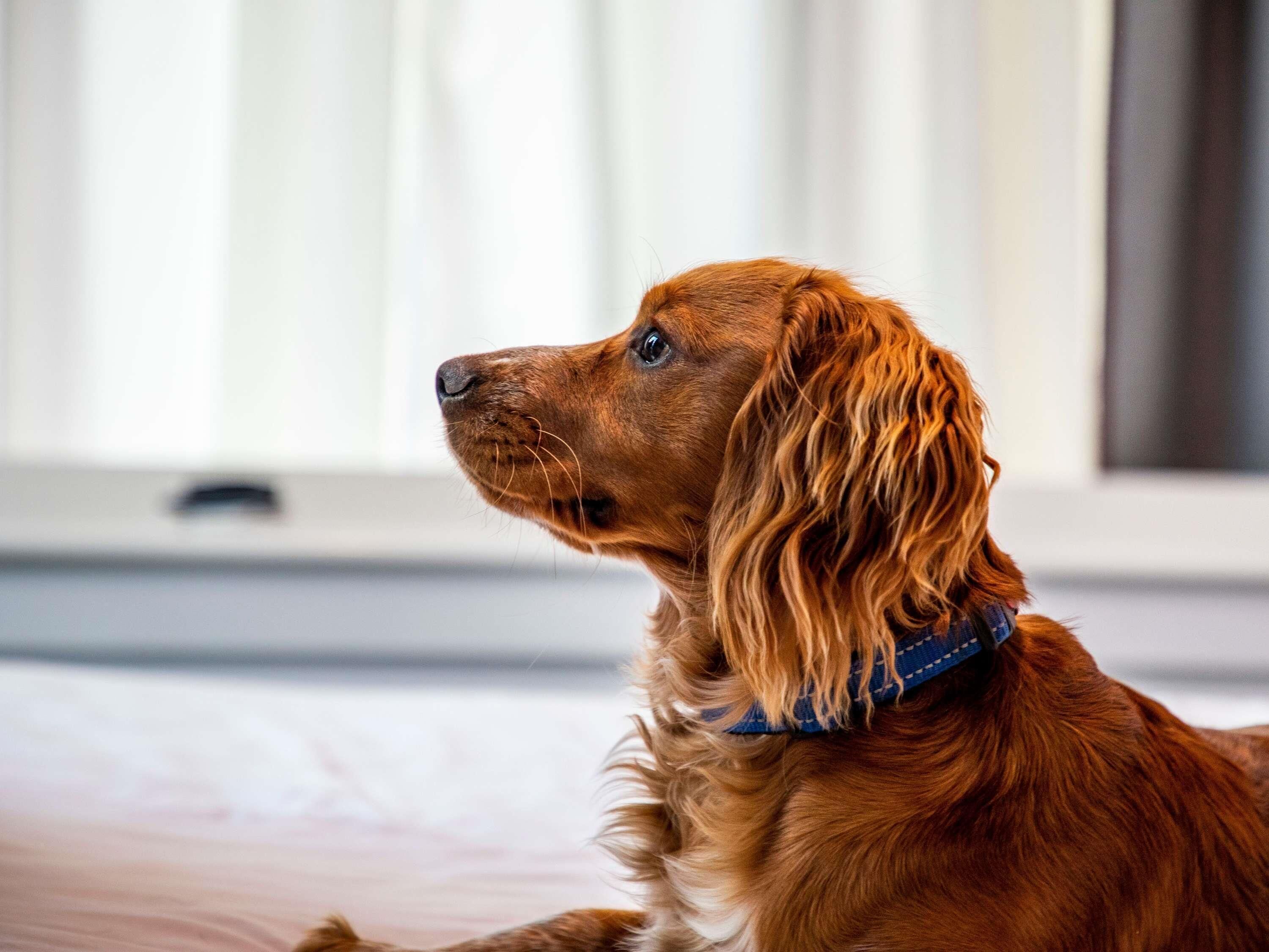 Foto - ibis Styles Glasgow Central