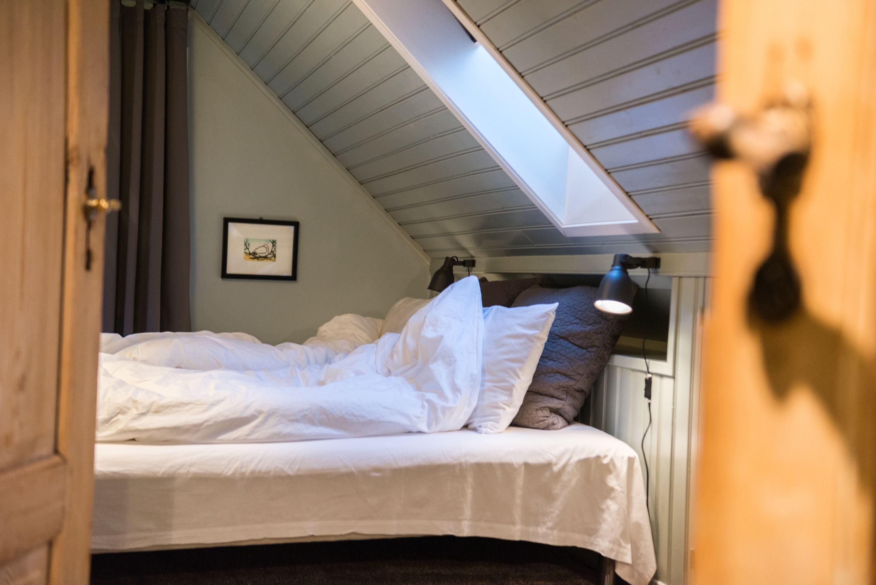 Foto - Reykjavík Treasure B&B