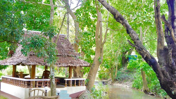 Een rustiek houten paviljoen met rieten dak, omgeven door weelderig groen en een kleine waterval.