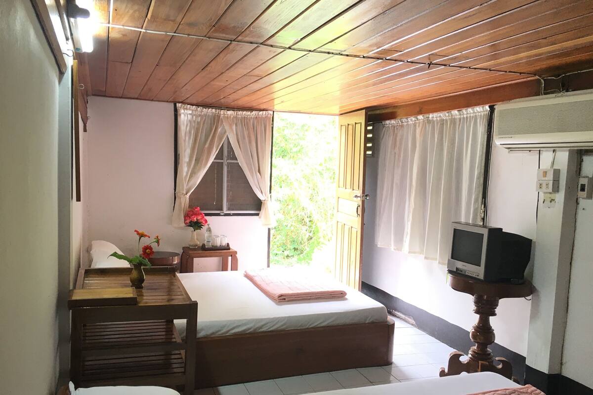 Une pièce avec un plafond en bois, un lit avec un matelas blanc et une couverture rose, une table de chevet en bois avec un vase et des fleurs, un téléviseur posé sur un meuble en bois, et une fenêtre avec des rideaux.
