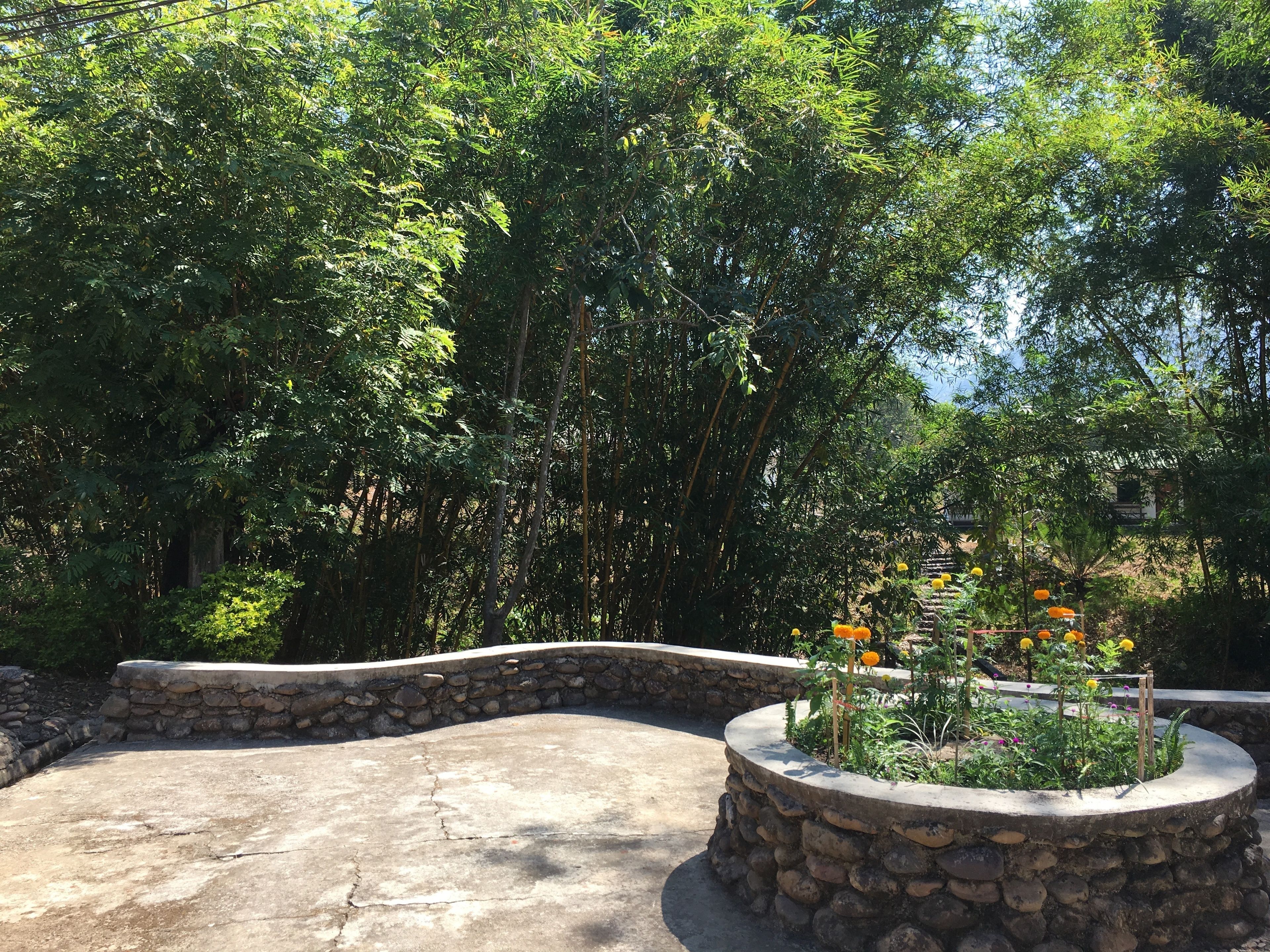 Un jardín con borde de piedra y una variedad de plantas y flores.