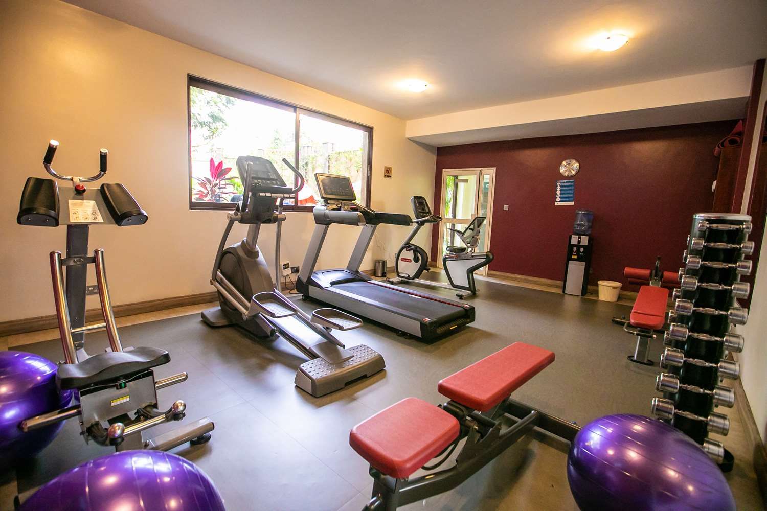 A gym with treadmills, elliptical machines, and free weights.