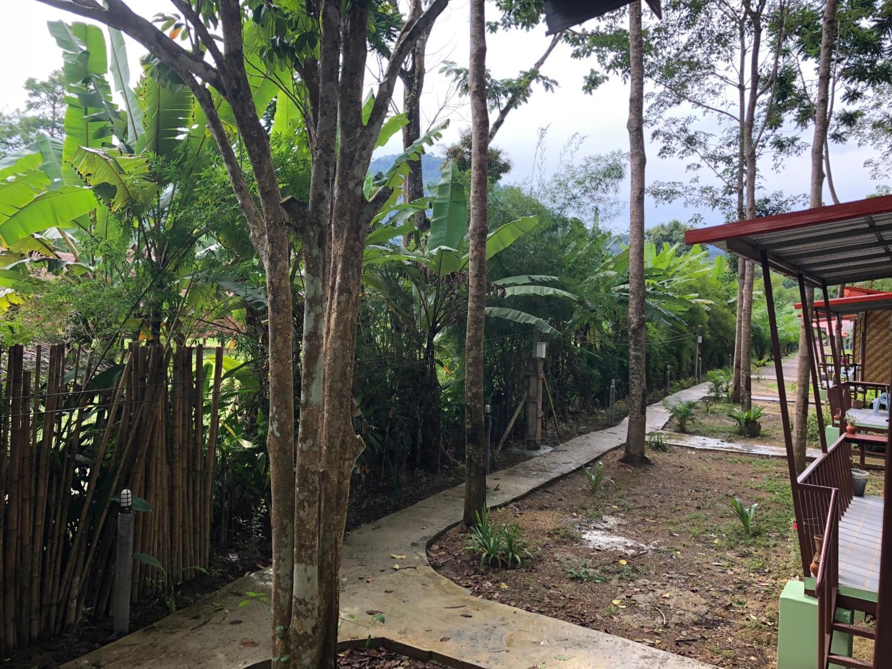 Khuôn viên nơi lưu trú