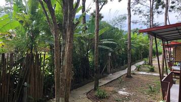 Khuôn viên nơi lưu trú