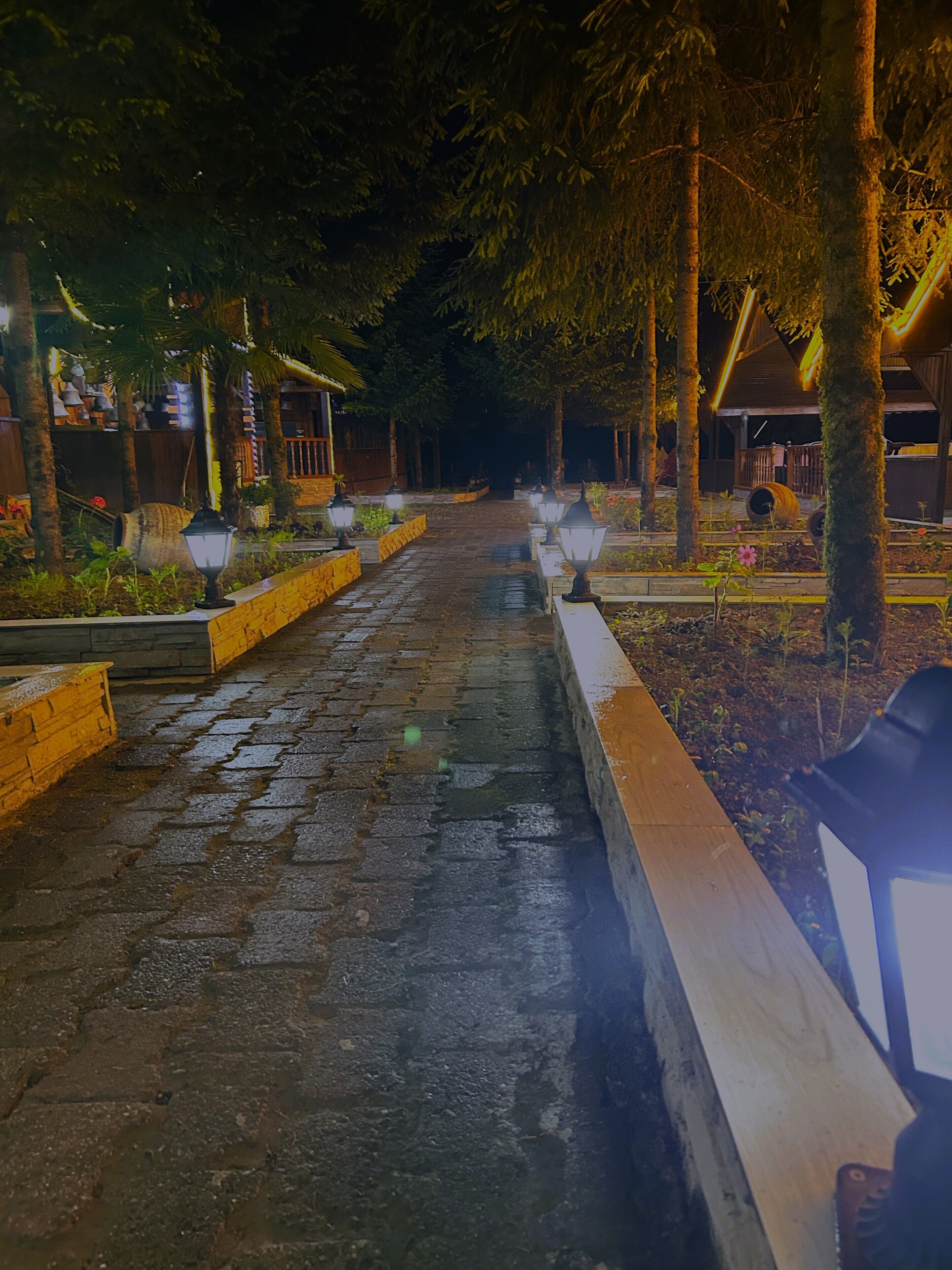 Een verlicht pad 's nachts, omzoomd door bomen en met lantaarns, dat naar een gebouw met houten constructie leidt.